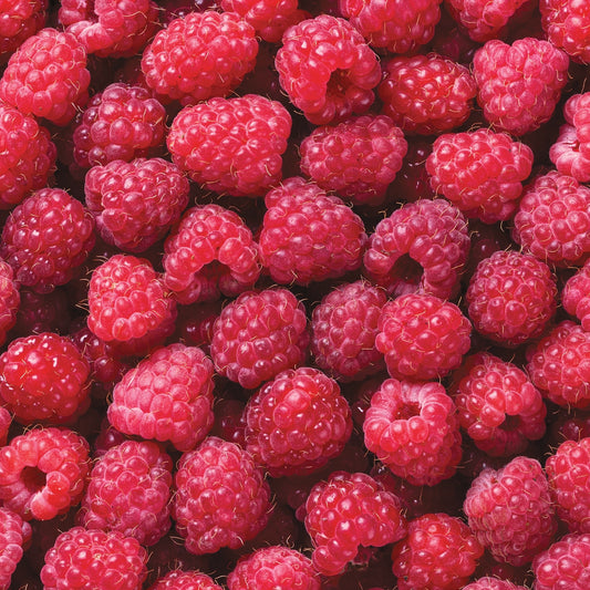 Raspberry 'Canby'
