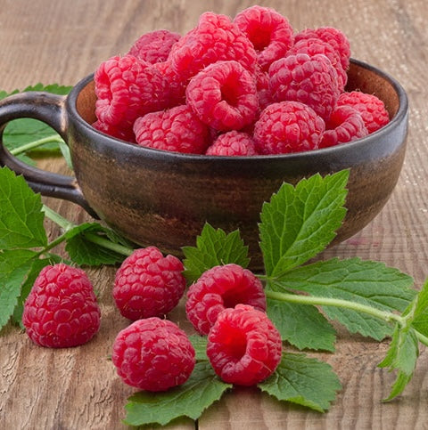 Raspberry 'Boyne'