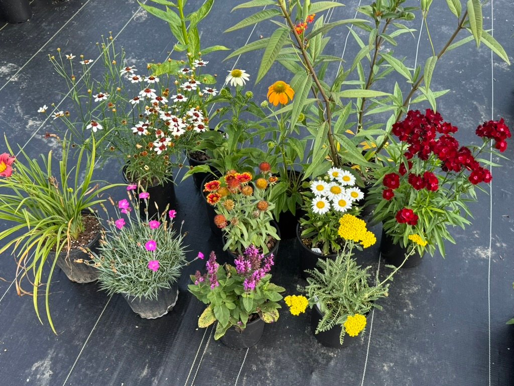 9318fad7 79a6 471e 90ac 32ca163f6d9f 1 105 c